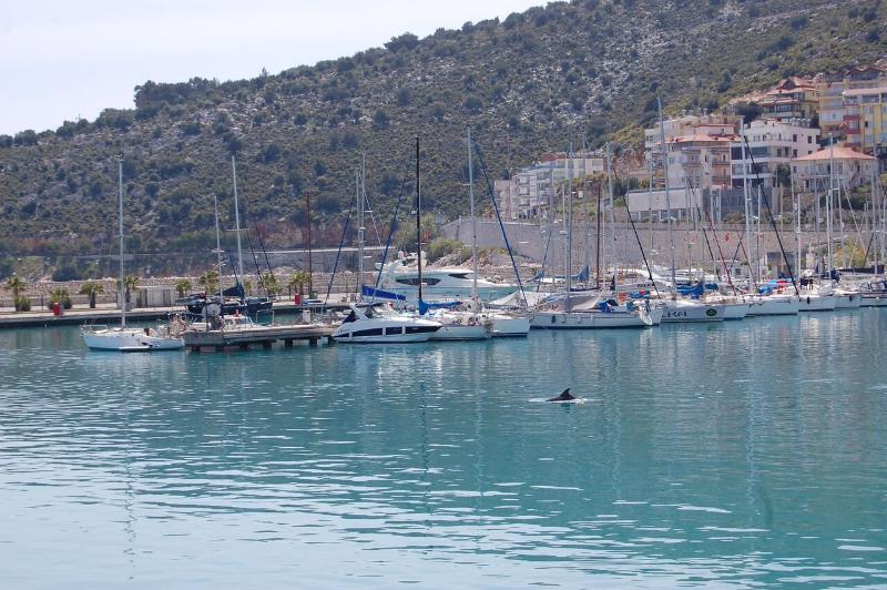 Olympos Mitos Hotel Exterior photo